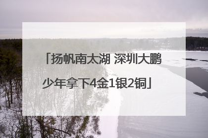扬帆南太湖 深圳大鹏少年拿下4金1银2铜