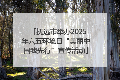 抚远市举办2025年六五环境日“美丽中国我先行”宣传活动