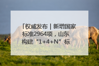 权威发布｜新增国家标准2964项，山东构建“1+4+N”标准化创新发展新格局