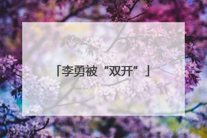 李勇被“双开”
