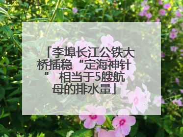 李埠长江公铁大桥插稳“定海神针” 相当于5艘航母的排水量
