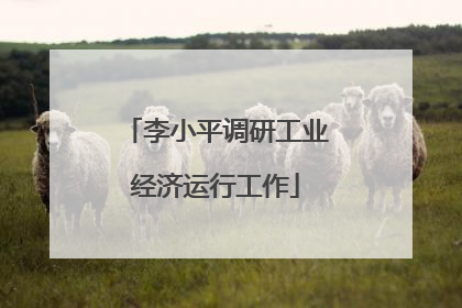 李小平调研工业经济运行工作