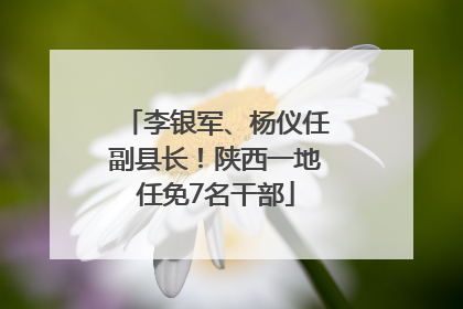 李银军、杨仪任副县长！陕西一地任免7名干部