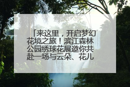 来这里，开启梦幻花境之旅！滨江森林公园绣球花展邀你共赴一场与云朵、花儿的浪漫之约