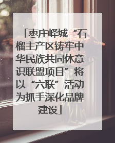 枣庄峄城“石榴主产区铸牢中华民族共同体意识联盟项目”将以“六联”活动为抓手深化品牌建设