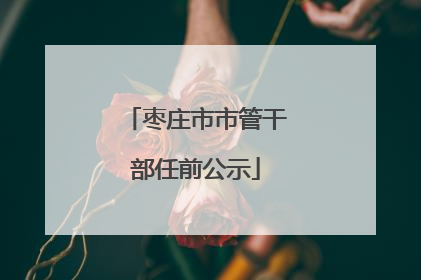 枣庄市市管干部任前公示