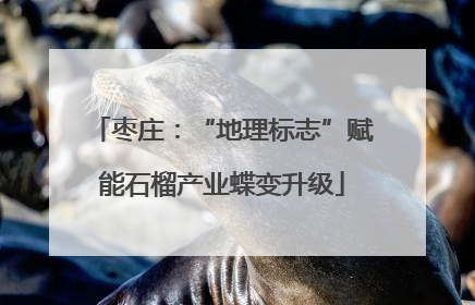 枣庄：“地理标志”赋能石榴产业蝶变升级
