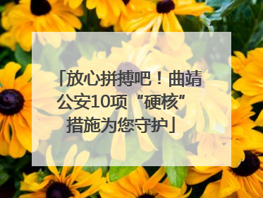 放心拼搏吧！曲靖公安10项“硬核”措施为您守护