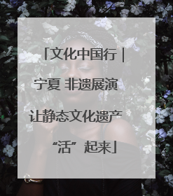 文化中国行｜宁夏 非遗展演让静态文化遗产“活”起来