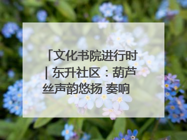 文化书院进行时｜东升社区：葫芦丝声韵悠扬 奏响文化和谐曲