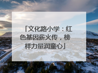 文化路小学：红色基因薪火传，榜样力量润童心