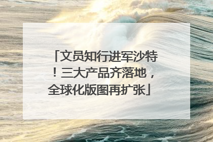 文员知行进军沙特！三大产品齐落地，全球化版图再扩张