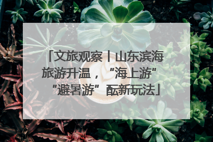 文旅观察丨山东滨海旅游升温，“海上游”“避暑游”酝新玩法