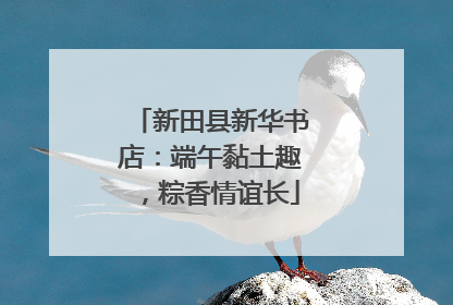 新田县新华书店：端午黏土趣，粽香情谊长