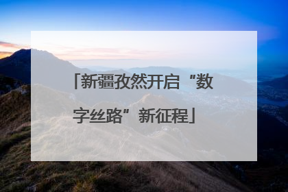 新疆孜然开启“数字丝路”新征程