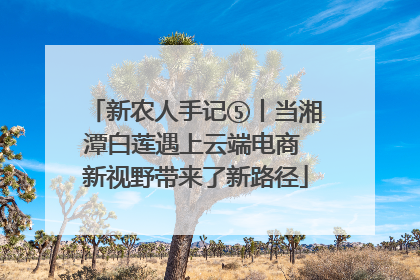 新农人手记⑤丨当湘潭白莲遇上云端电商 新视野带来了新路径