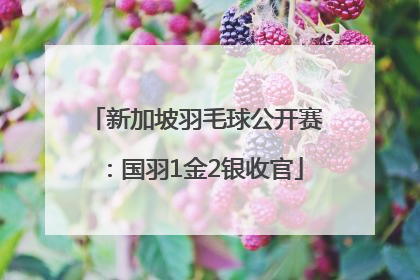 新加坡羽毛球公开赛：国羽1金2银收官