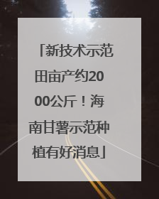 新技术示范田亩产约2000公斤！海南甘薯示范种植有好消息