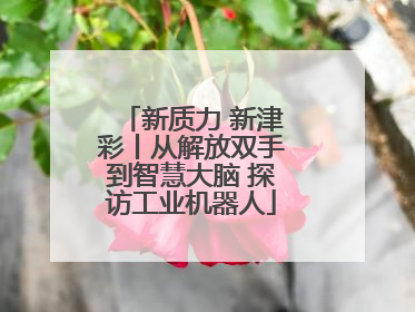 新质力 新津彩丨从解放双手到智慧大脑 探访工业机器人