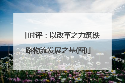 时评：以改革之力筑铁路物流发展之基(图)