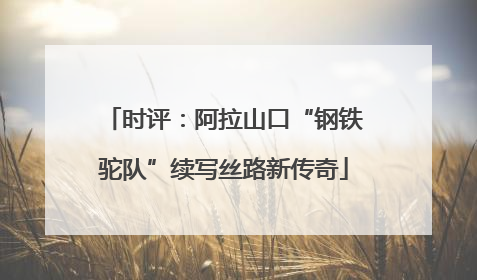 时评：阿拉山口“钢铁驼队”续写丝路新传奇