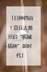 日种四亩！章丘大葱开启“机械插秧”新时代