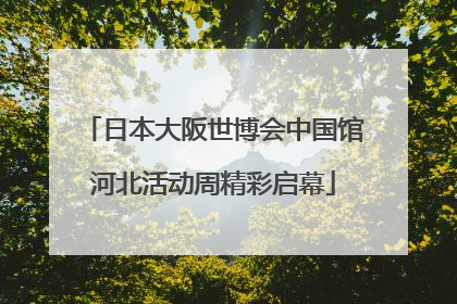 日本大阪世博会中国馆河北活动周精彩启幕