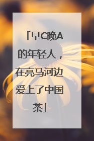 早C晚A的年轻人，在亮马河边爱上了中国茶