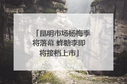 昆明市场杨梅季将落幕 蜂糖李即将接档上市