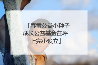 春雷公益小种子成长公益基金在坪上完小设立