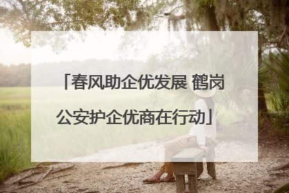 春风助企优发展 鹤岗公安护企优商在行动