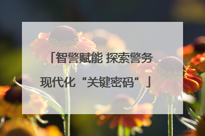 智警赋能 探索警务现代化“关键密码”