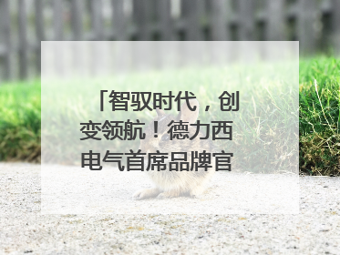 智驭时代，创变领航！德力西电气首席品牌官王策荣膺虎啸奖年度品牌人物