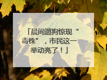 晨间遛狗惊现“毒株”，市民这一举动亮了！