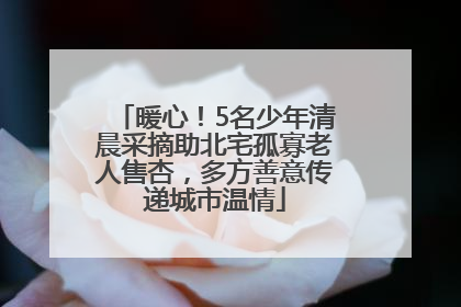 暖心！5名少年清晨采摘助北宅孤寡老人售杏，多方善意传递城市温情