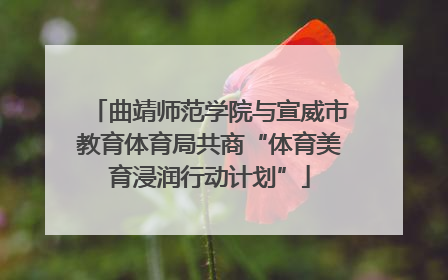 曲靖师范学院与宣威市教育体育局共商“体育美育浸润行动计划”