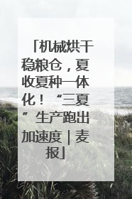 机械烘干稳粮仓，夏收夏种一体化！“三夏”生产跑出加速度｜麦报