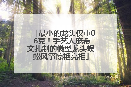 最小的龙头仅重0.6克！手艺人庞希文扎制的微型龙头蜈蚣风筝惊艳亮相