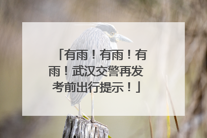 有雨！有雨！有雨！武汉交警再发考前出行提示！