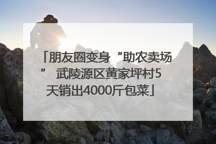 朋友圈变身“助农卖场” 武陵源区黄家坪村5天销出4000斤包菜