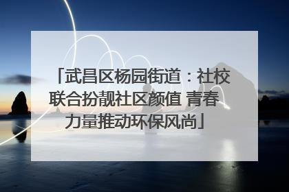 武昌区杨园街道：社校联合扮靓社区颜值 青春力量推动环保风尚