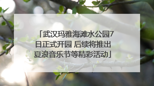 武汉玛雅海滩水公园7日正式开园 后续将推出夏浪音乐节等精彩活动
