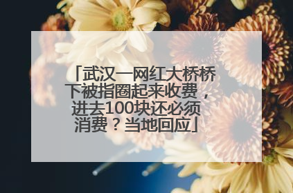 武汉一网红大桥桥下被指圈起来收费，进去100块还必须消费？当地回应