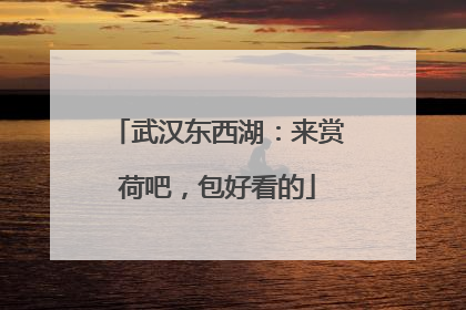武汉东西湖：来赏荷吧，包好看的