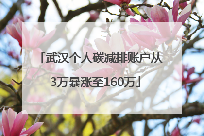 武汉个人碳减排账户从3万暴涨至160万