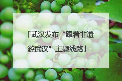 武汉发布“跟着非遗游武汉”主题线路