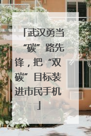 武汉勇当“碳”路先锋，把“双碳”目标装进市民手机
