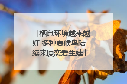 栖息环境越来越好 多种夏候鸟陆续来厦恋爱生娃