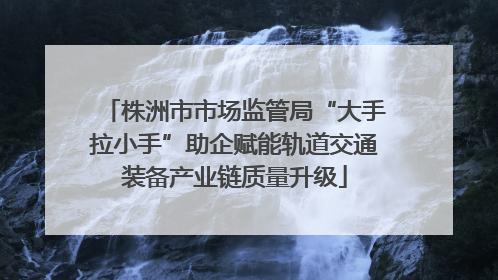 株洲市市场监管局“大手拉小手”助企赋能轨道交通装备产业链质量升级