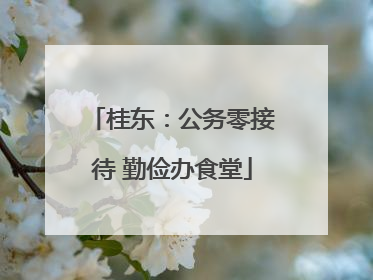 桂东：公务零接待 勤俭办食堂
